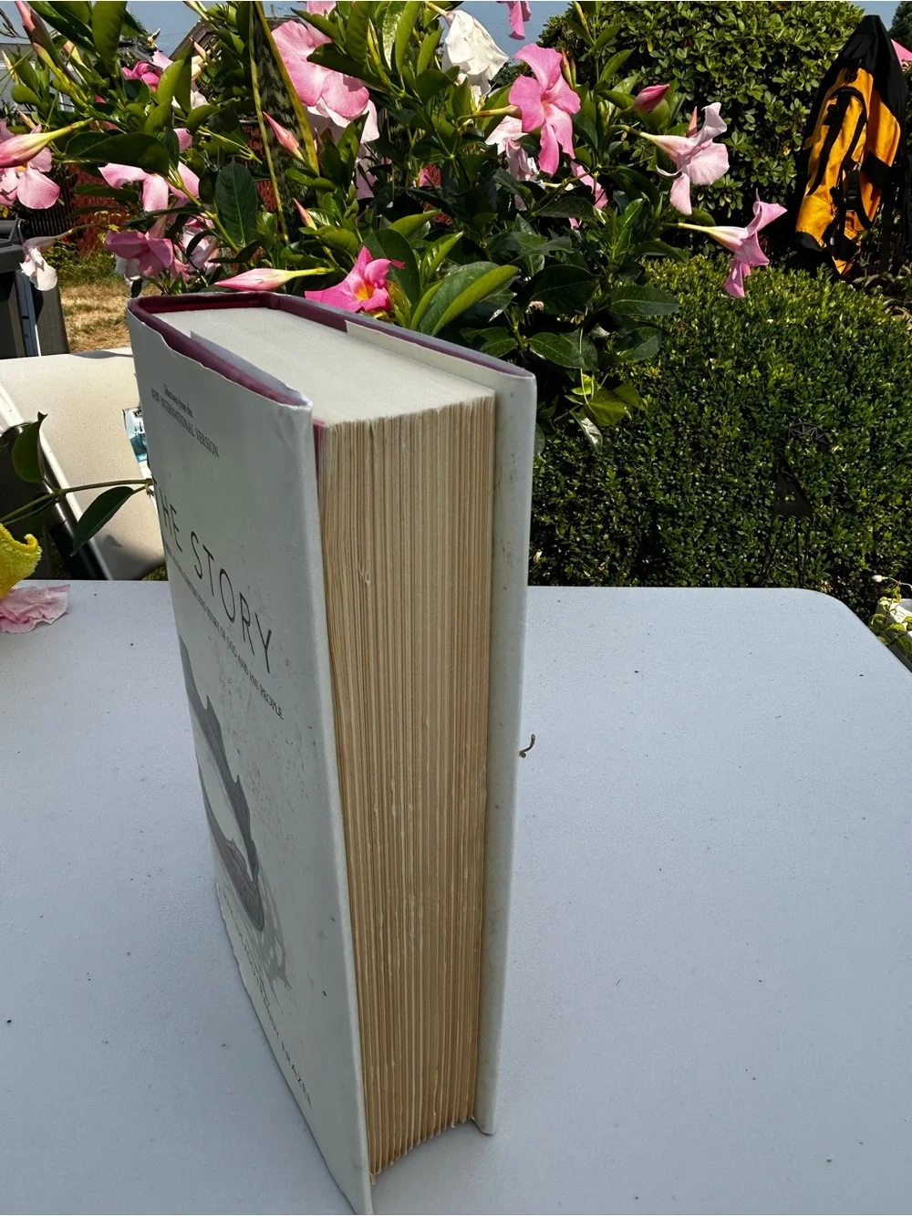 The Story Hardcover Book by Max Lucado & Randy Frazee - White